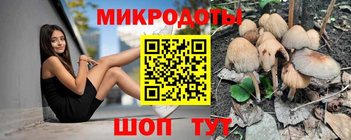 Галлюциногенные грибы прущие грибы Зерноград